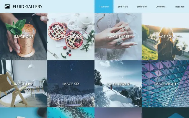 Fluid website template preview