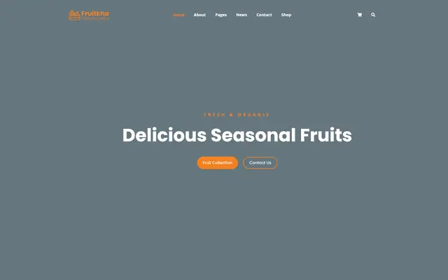 Fruitkha website template preview