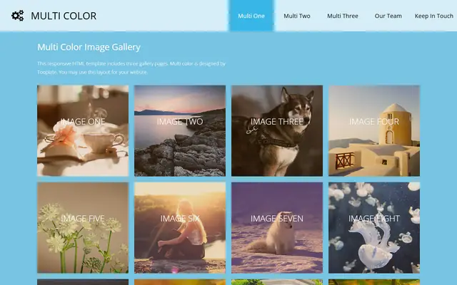 Multi Color website template preview