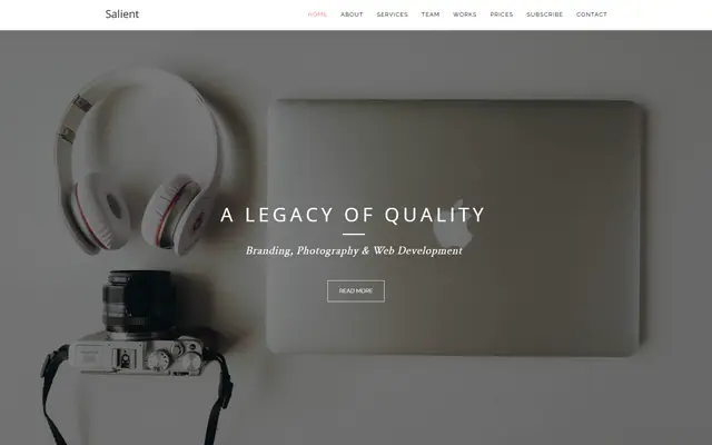 Salient website template preview