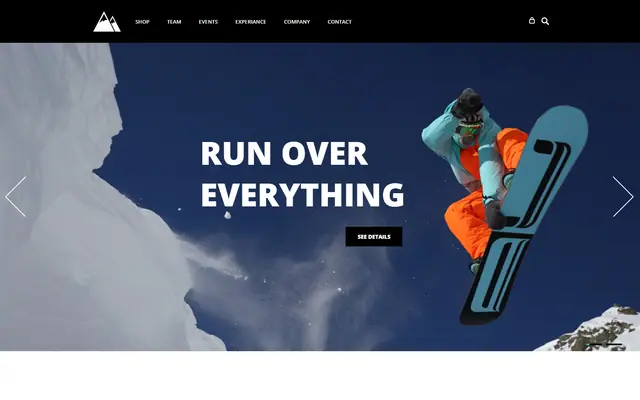 Snow website template preview