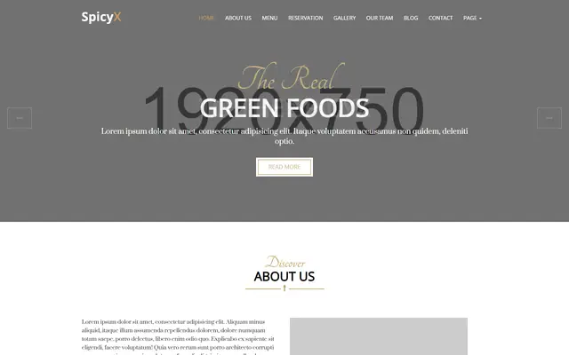 Spicy X website template preview