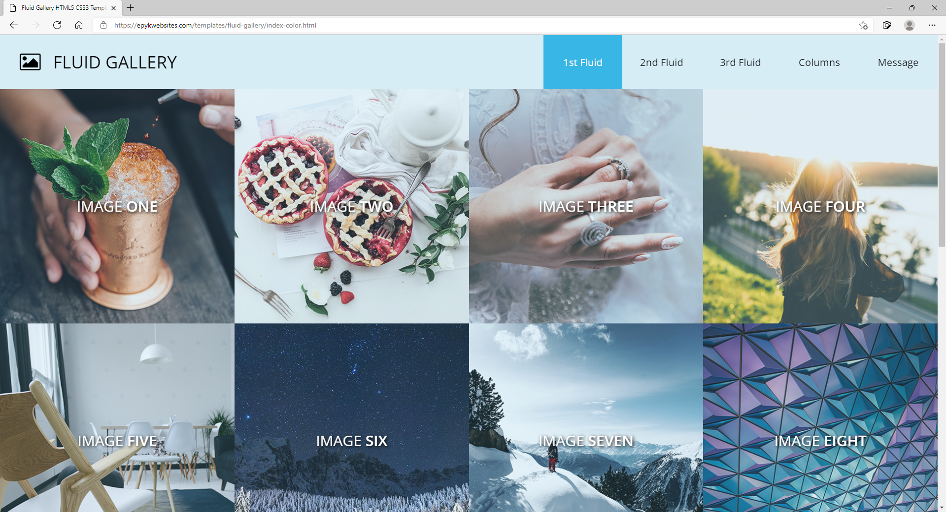 Element Website Template